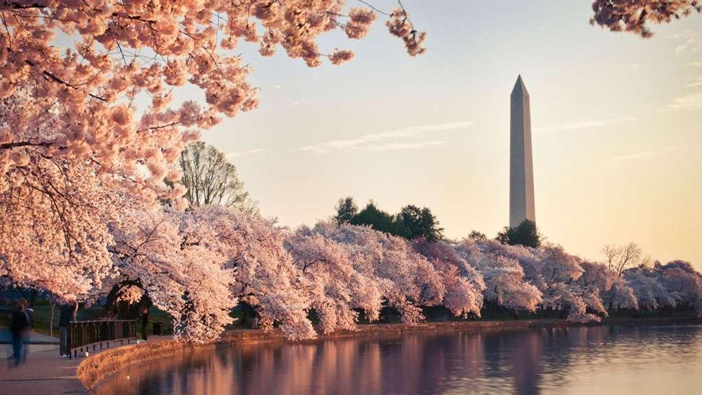 Hyatt Place Washington Dc/White House Tiện nghi bức ảnh
