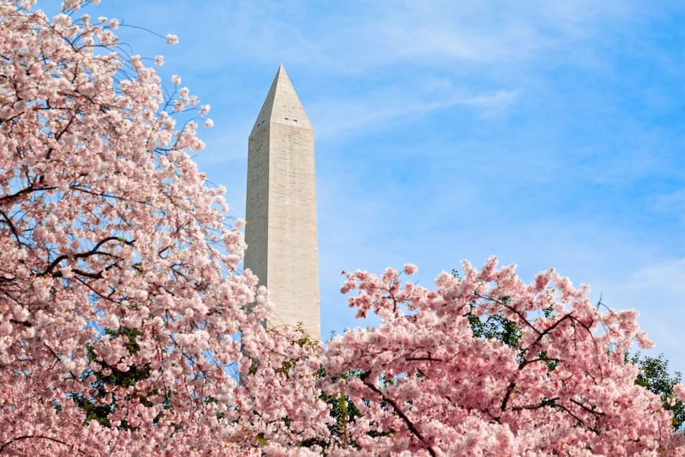 Hyatt Place Washington Dc/White House Ngoại thất bức ảnh